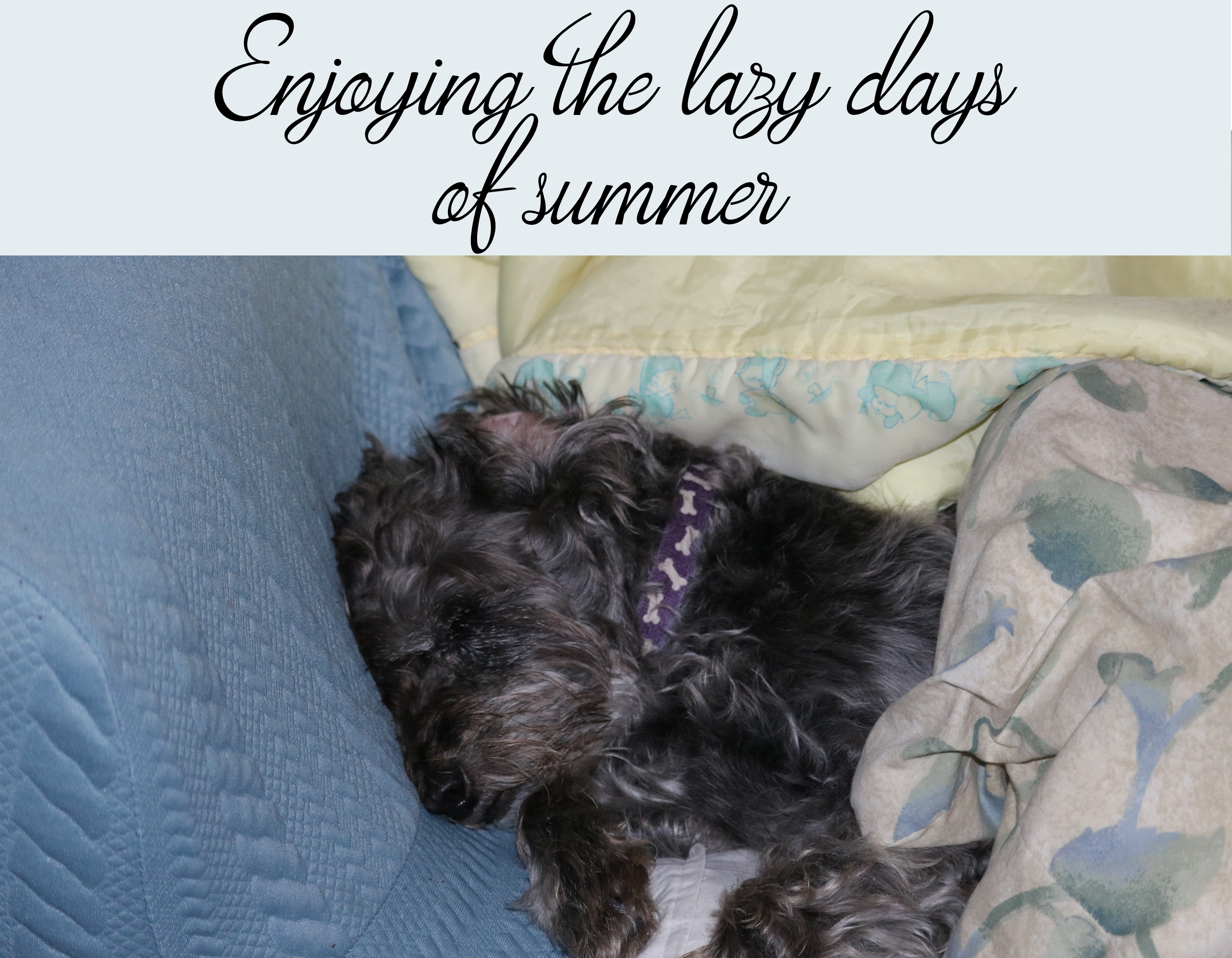 lazy days of summer